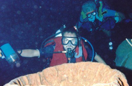 ROMERO BUCEO NOCTURNO COZUMEL